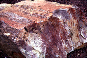 Rock with Sedimentary Layers