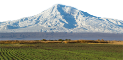 Mt. Ararat