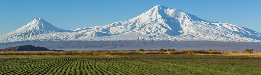 Mt. Ararat