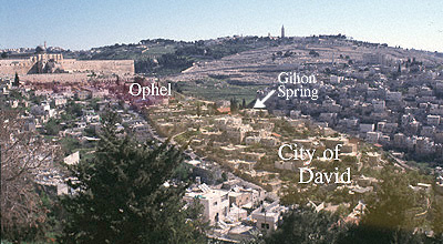 The City of David