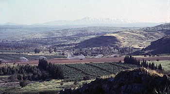 Eastern shore of the Sea of Galilee in spring