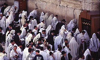 The Western Wall